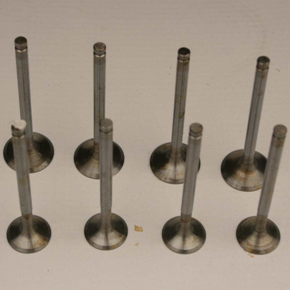 Inlet and Exhaust Valves Set